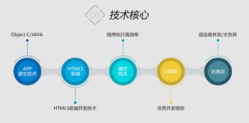 鼎维 智慧教育软件定制及系统开发公司